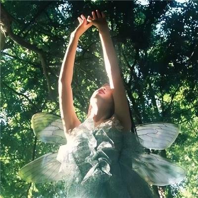 我在泥泞里你向阳而生